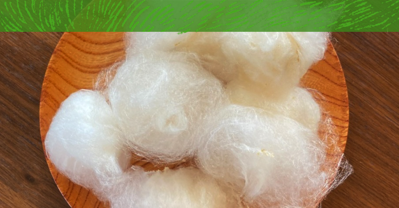 魔法のわたあめ